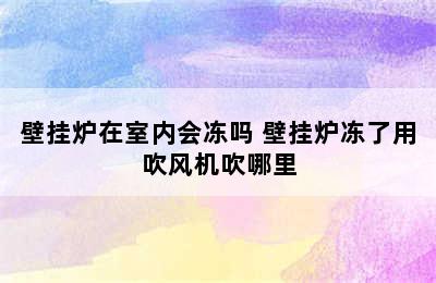 壁挂炉在室内会冻吗 壁挂炉冻了用吹风机吹哪里